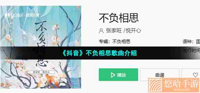 《抖音》不负相思歌曲介绍