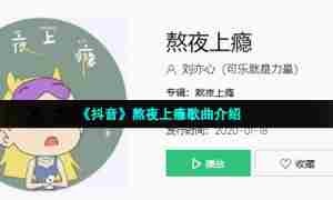 《抖音》熬夜上瘾歌曲介绍