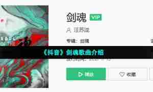 《抖音》剑魂歌曲介绍